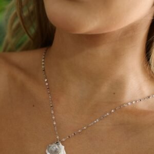 COLR455  Colar Com Duas Concha Em Aço Inox PRATA - Imagem 1